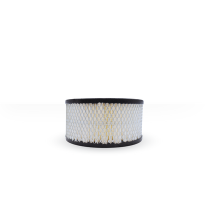 SK5IF Air Filter Compatible with Mattei