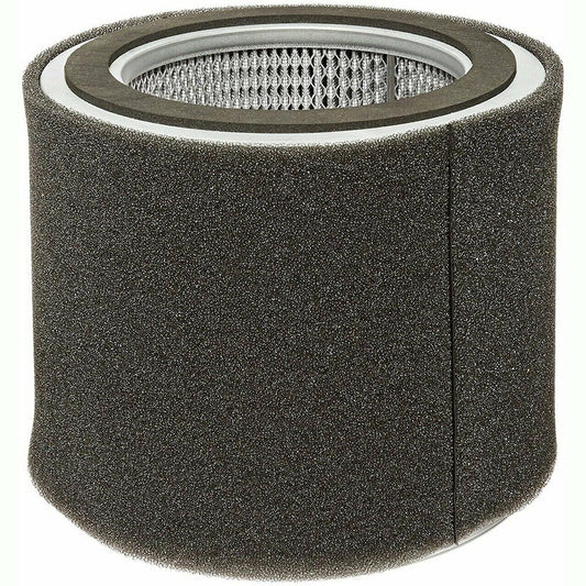 RN24020-1 Fs Curtis Air Filter